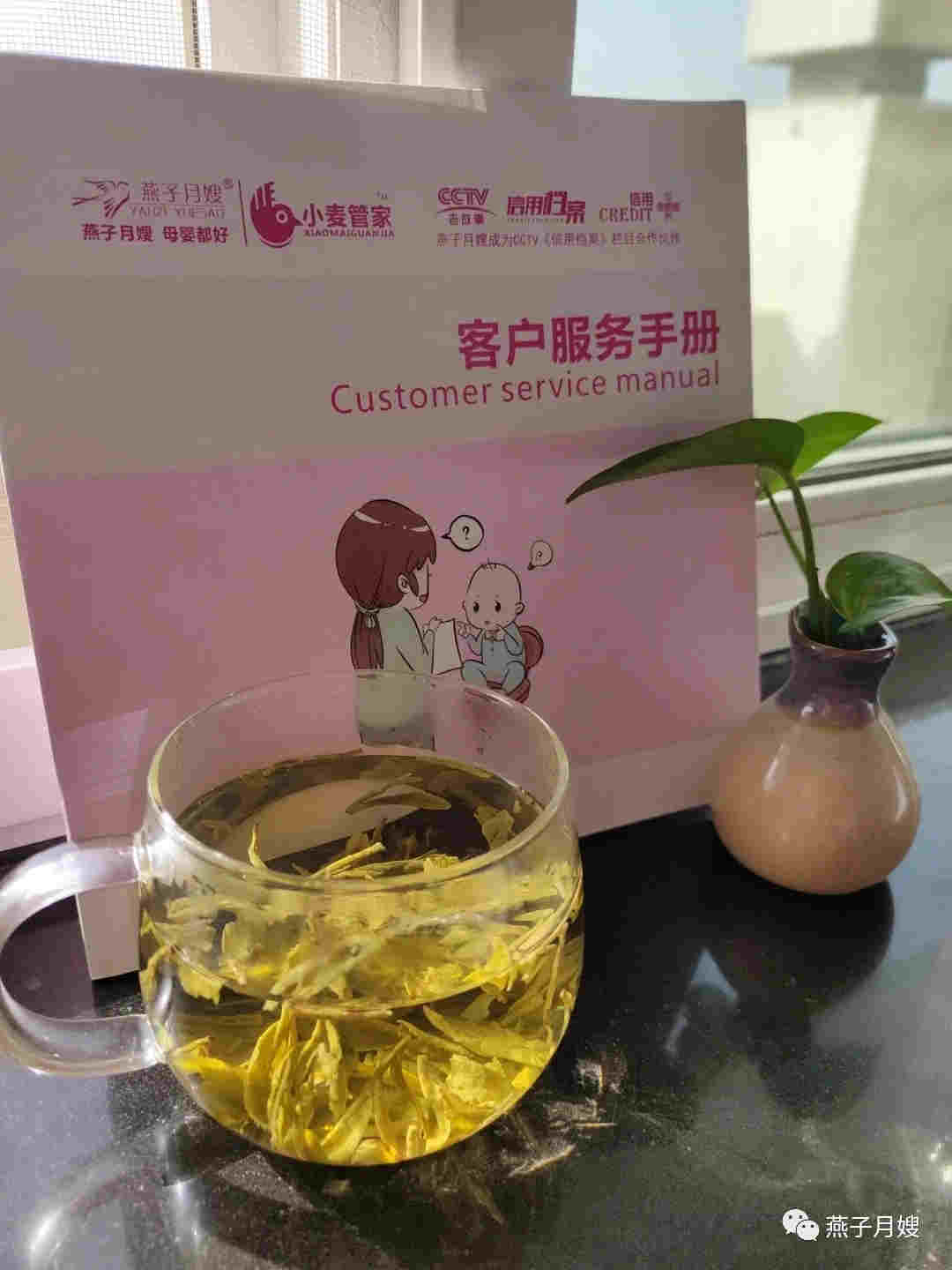 西安燕子月嫂會所