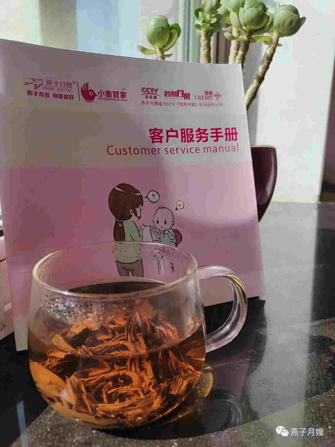 西安燕子月嫂育兒嫂保姆家政公司